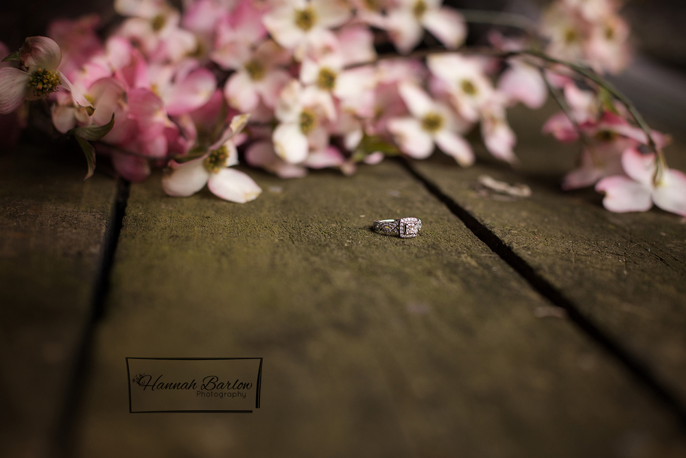  Wellsburg, WV Engagement Pictures Engagement Ring 