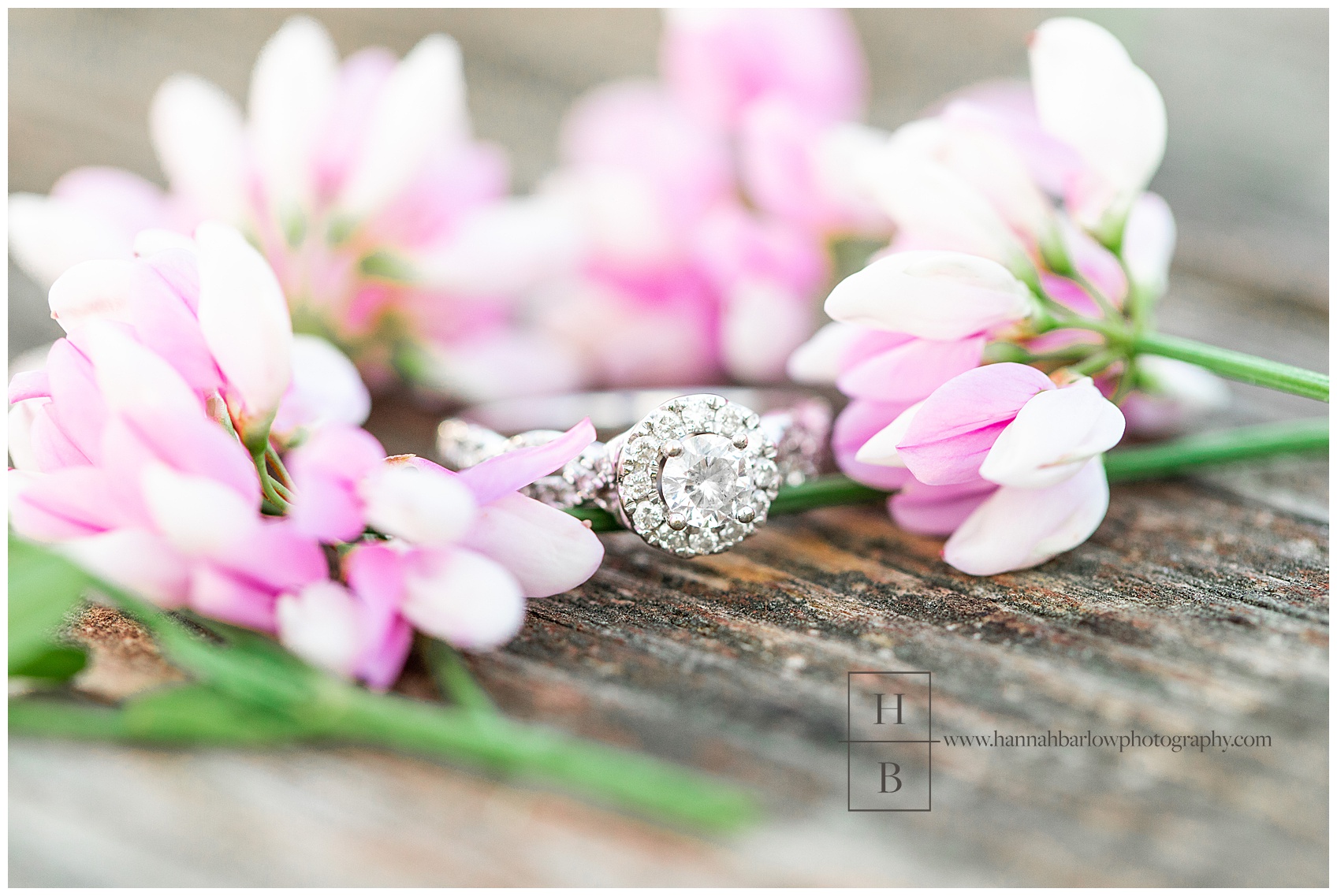 Engagement Ring and Purple Flowers