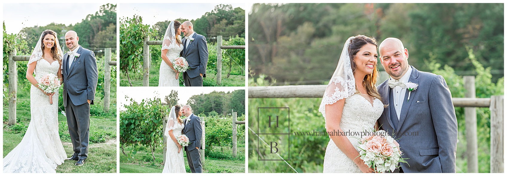 Bride and Groom Photos in the Vineyards at Pine Lake