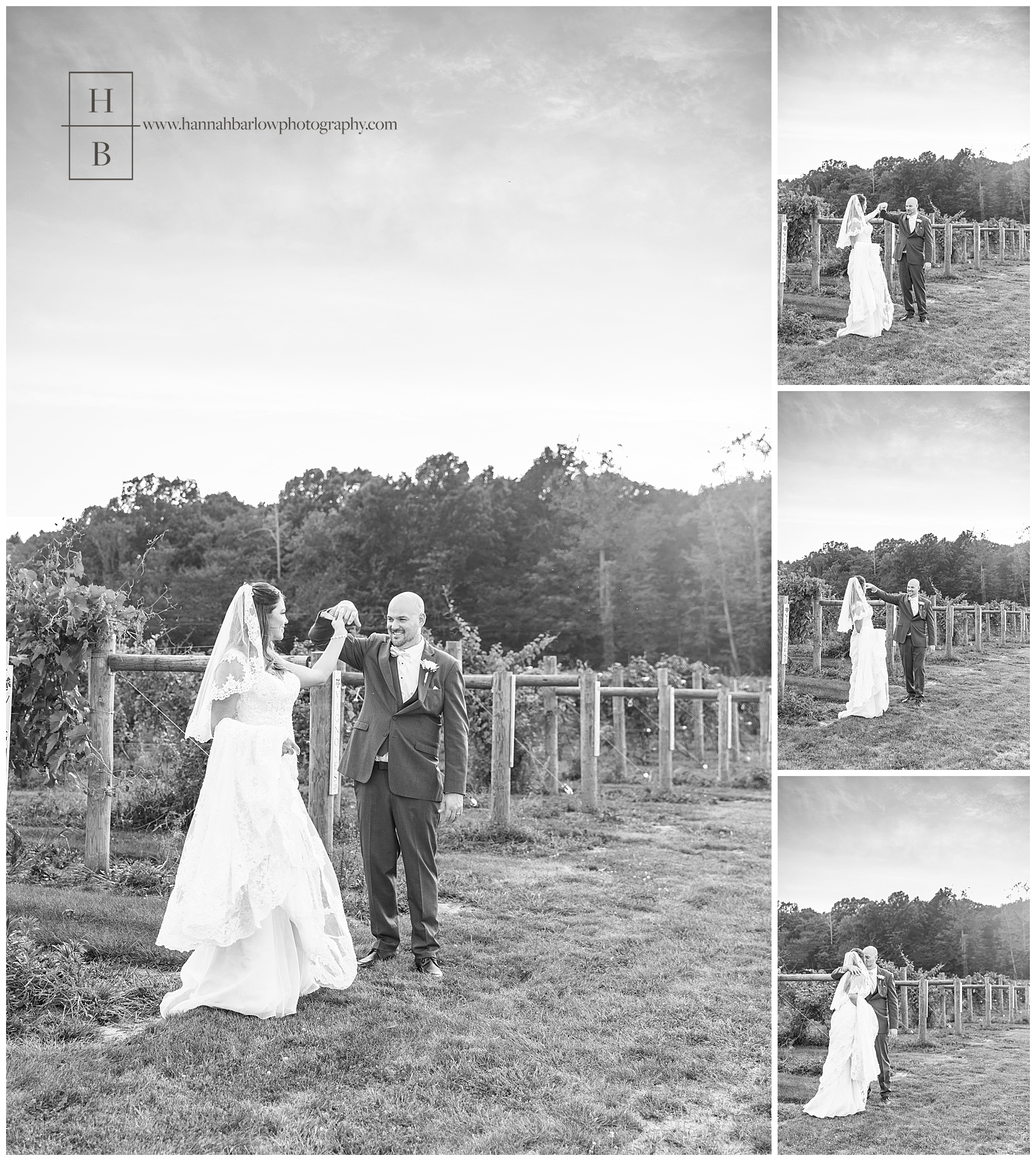 Black and White Wedding Photos at the Vineyards at Pine Lake