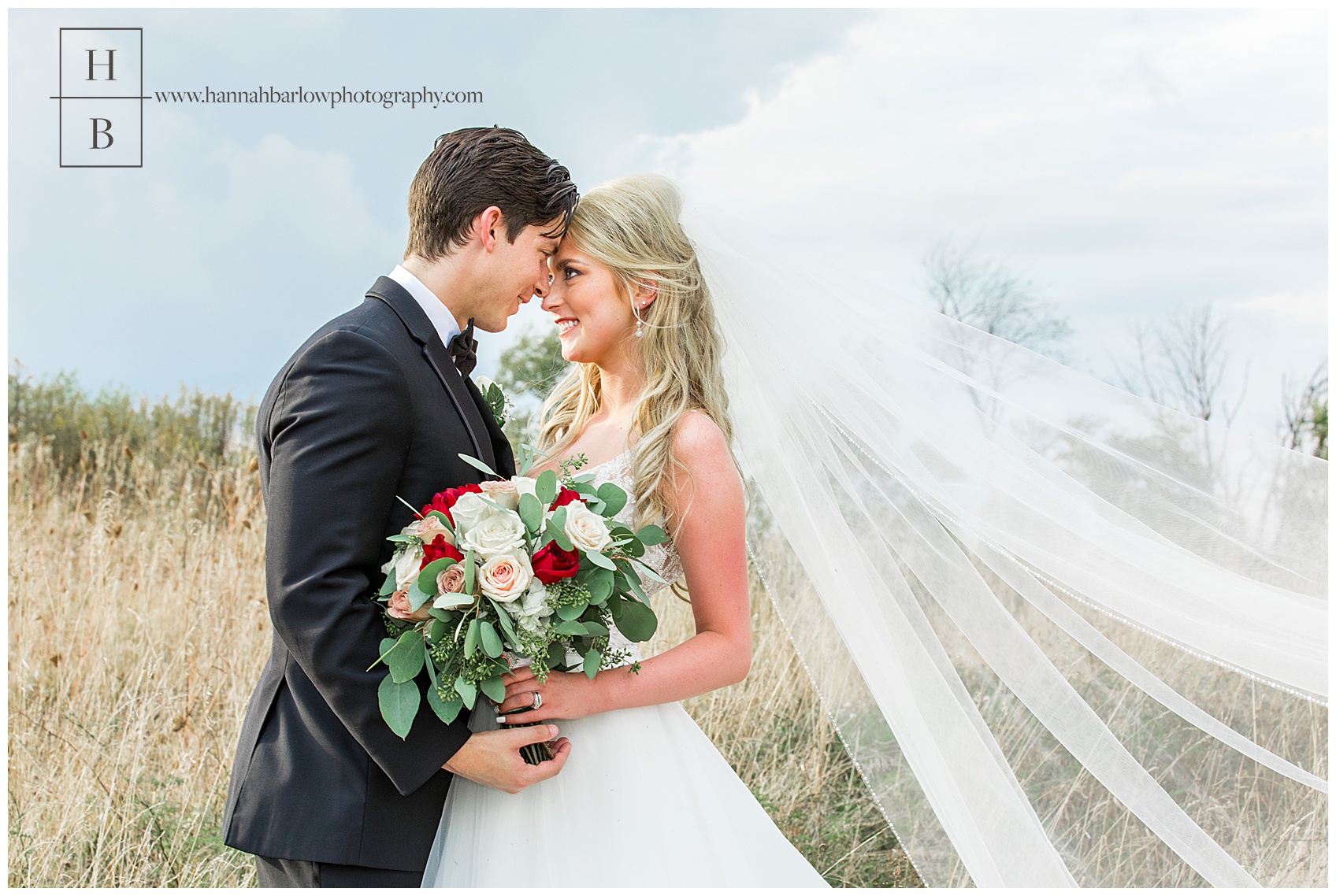 Bride and Groom Formal Photo in Field with Large Veil