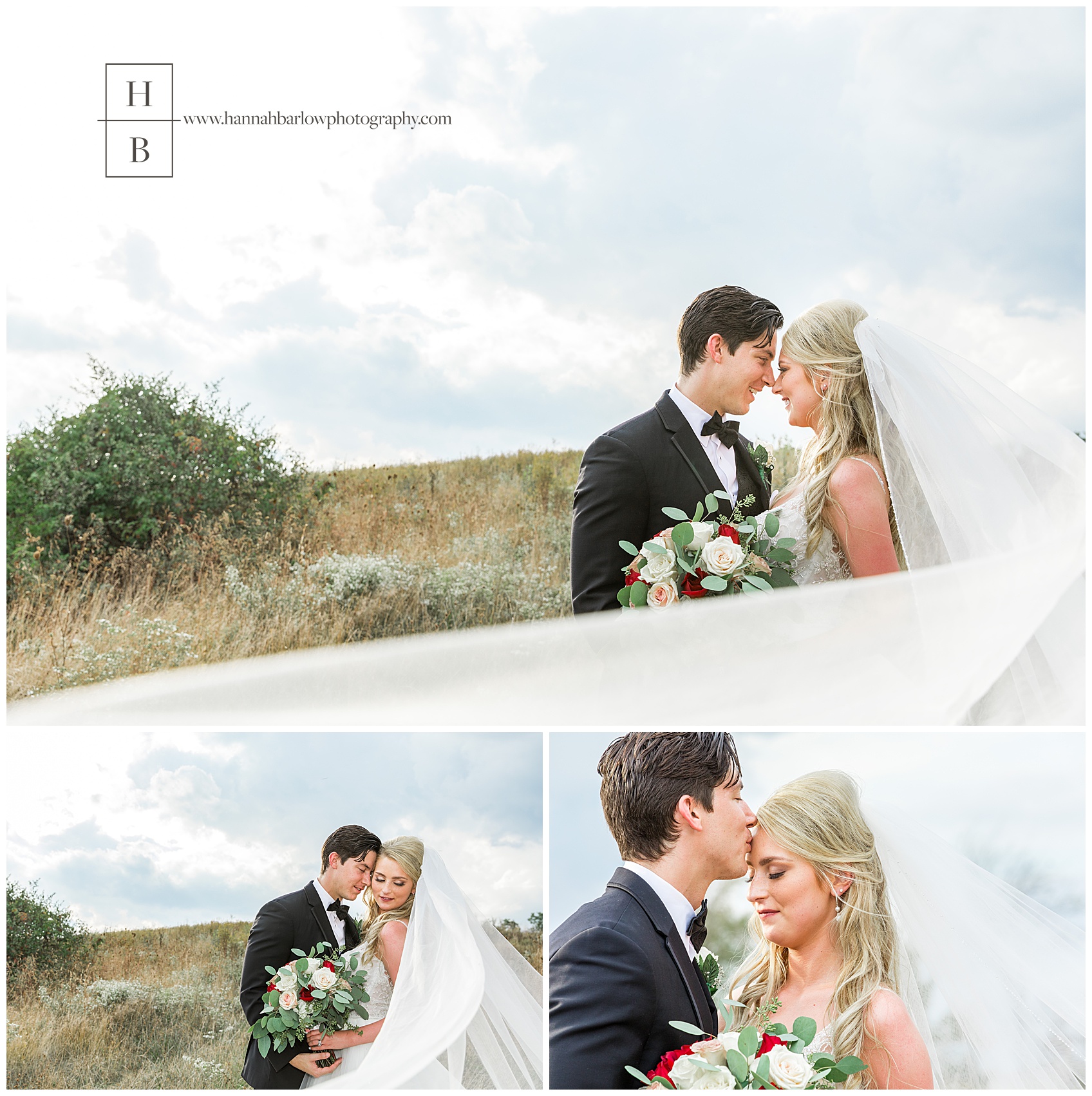 Bride and Groom Photos at Ebbert Farms Market Veil Blowing in Wind