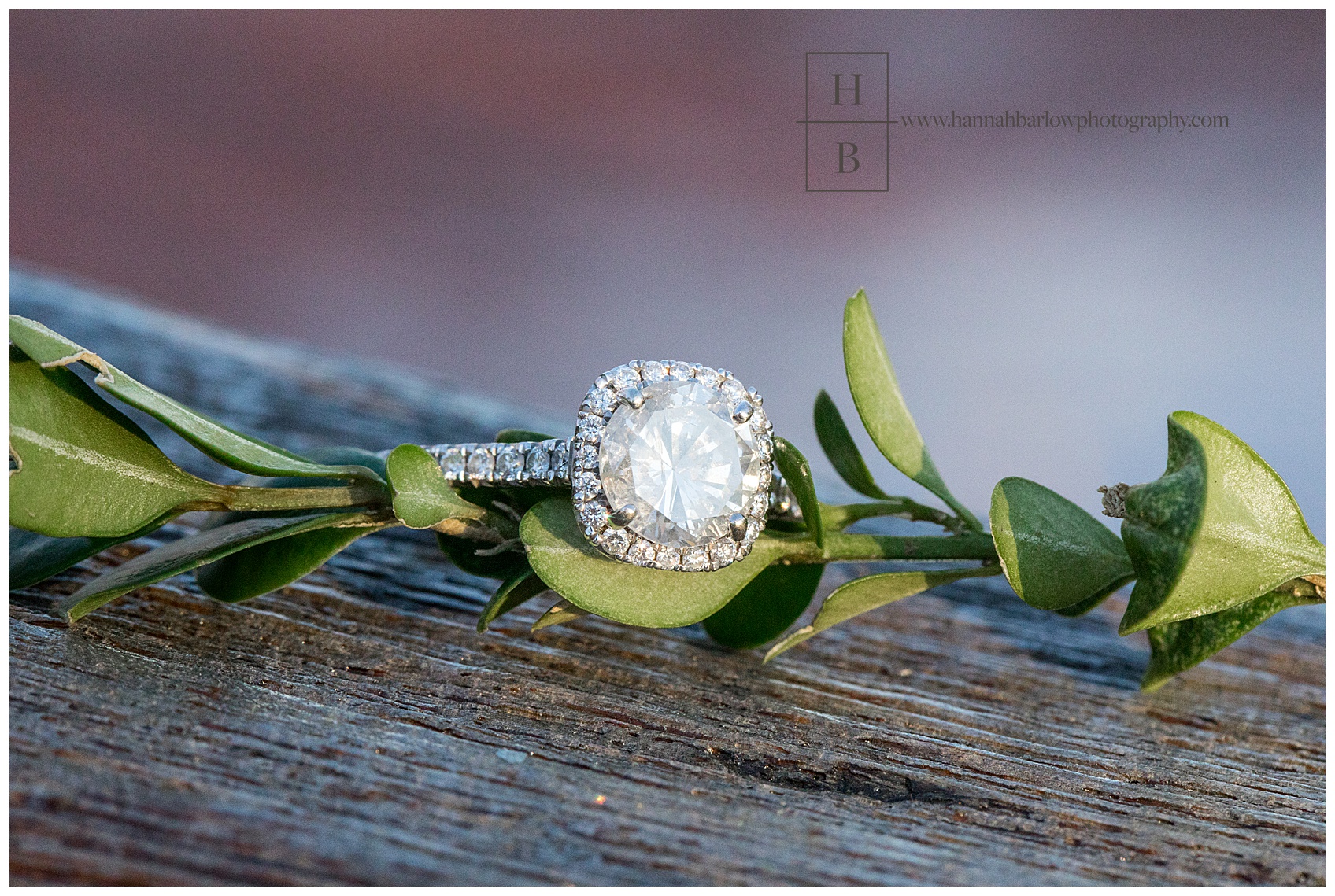 Engagement Ring on Greenery