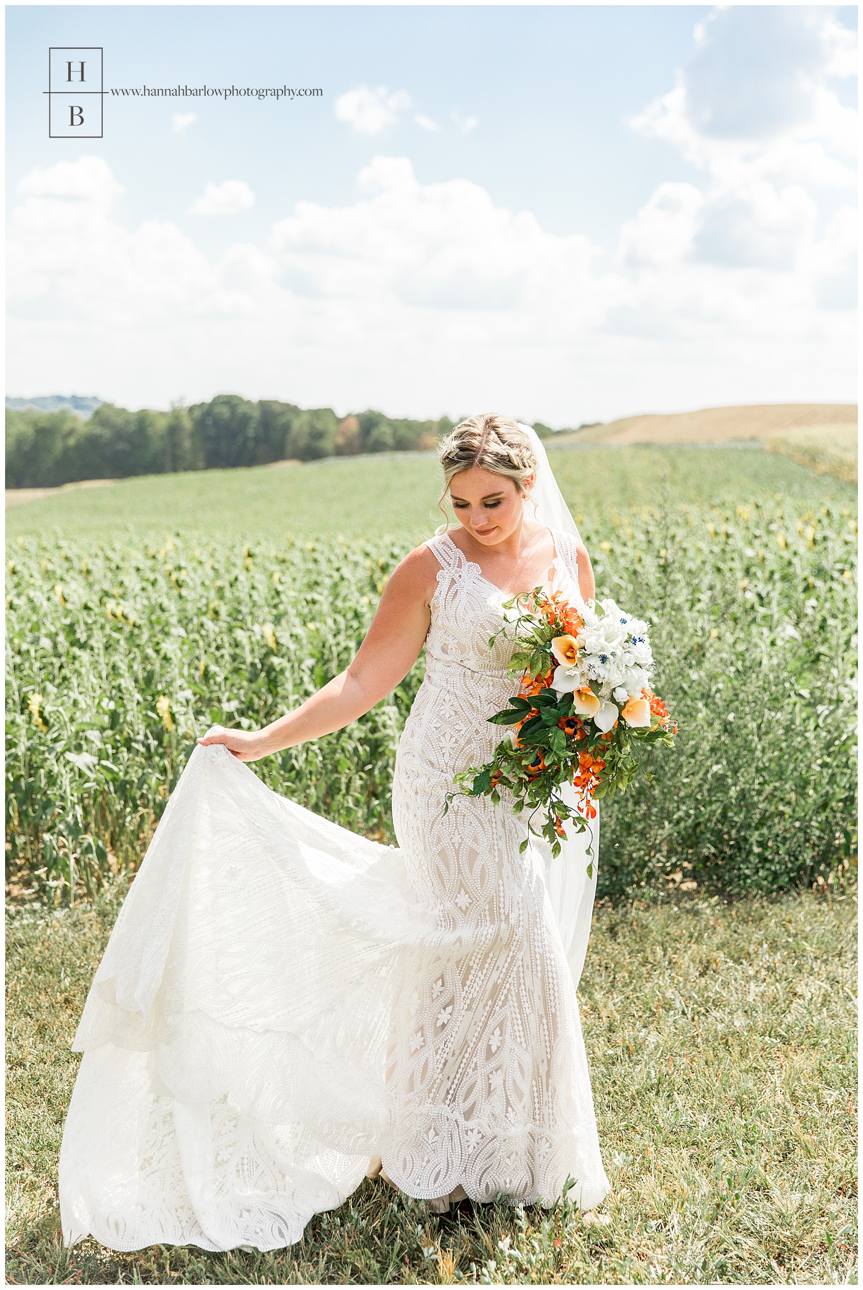 Bride Holding Dress in Renshaw Farms Sunflower Field