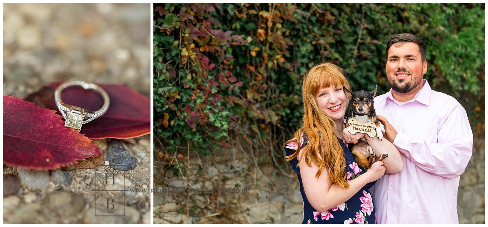Fall Foliage Wheeling WV Engagement Photos - Hannah Barlow Photography