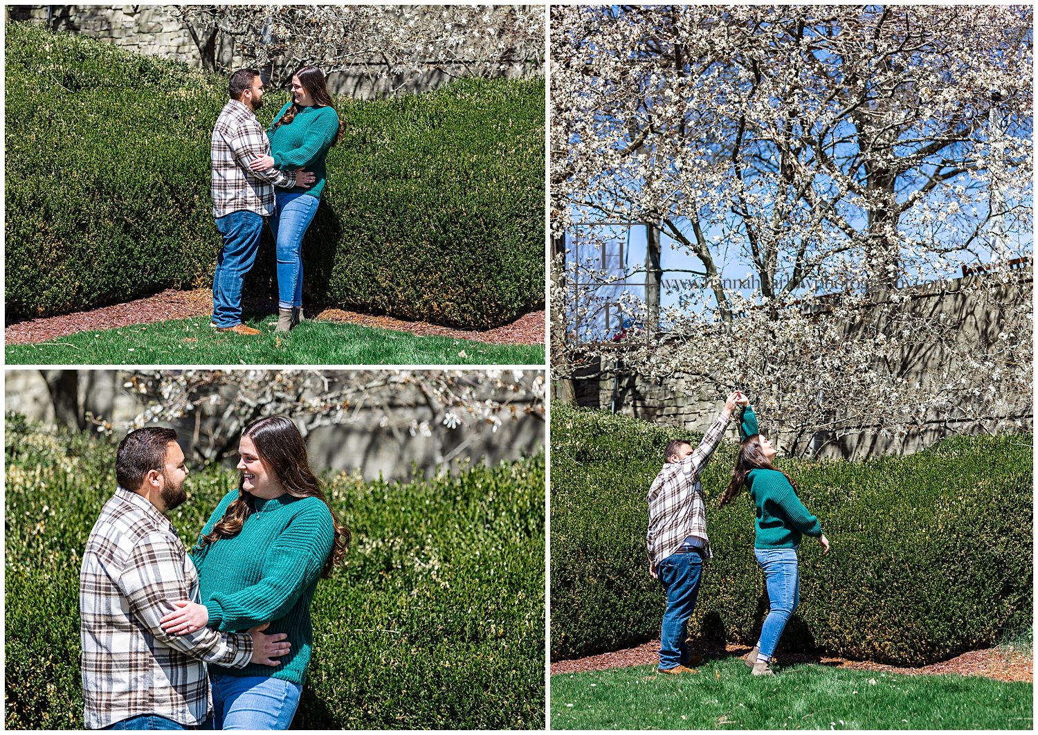 Couple dances in front of blooming white pear tree