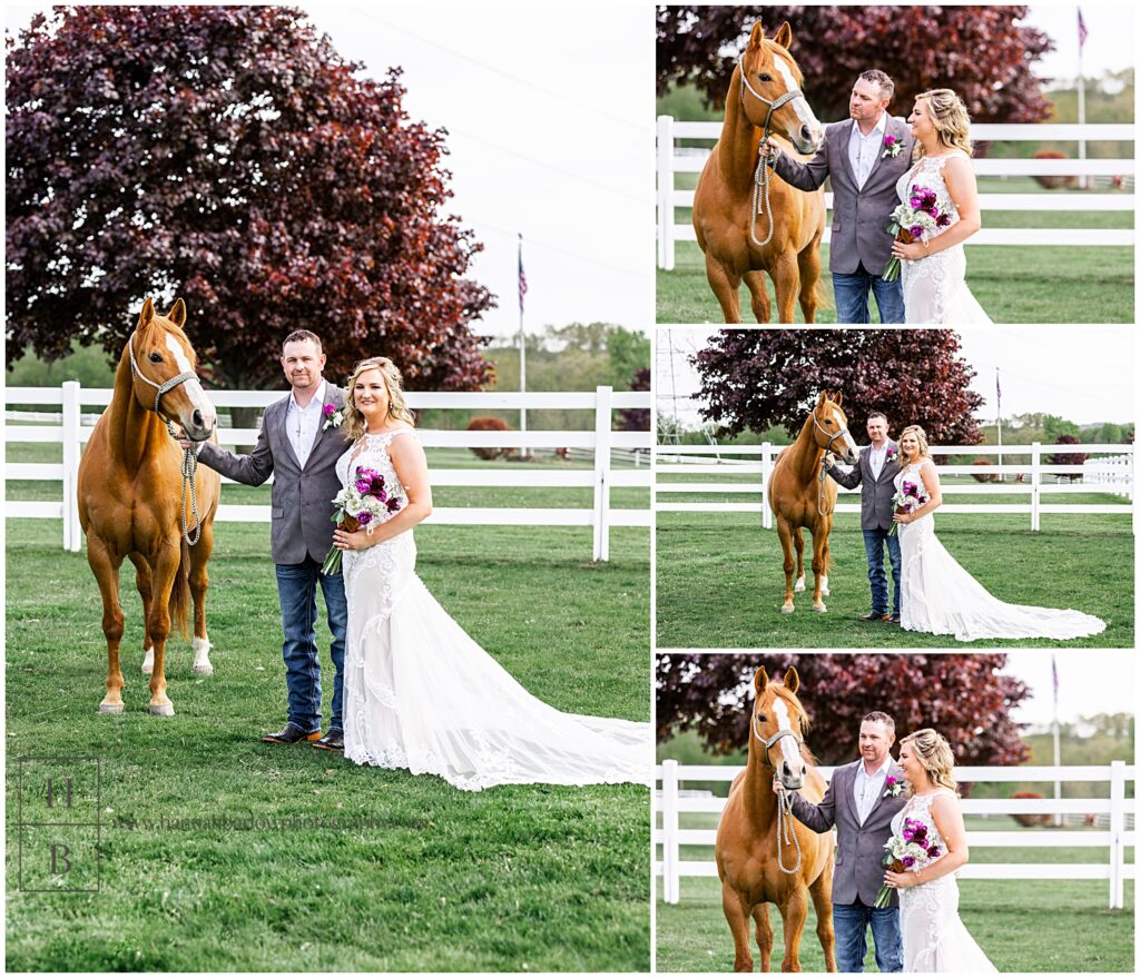 Bride and groom pose with horse for wedding photos.