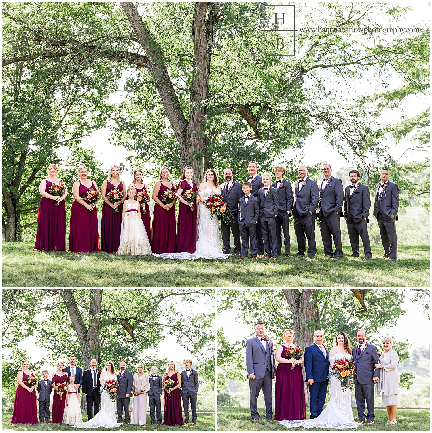 Bridal party and family photo.