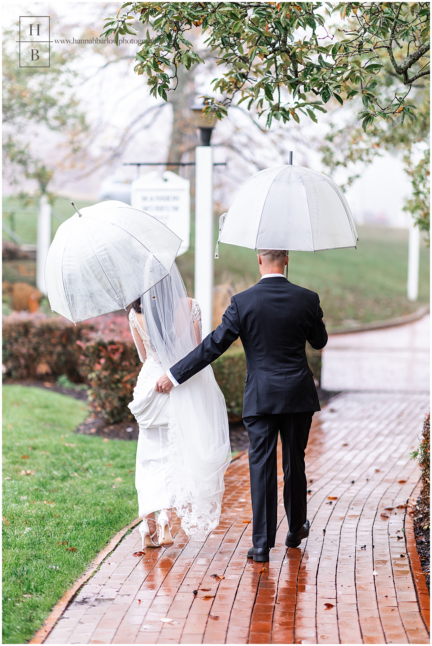 Groom holds bride's train and umbrellas for wedding photo
