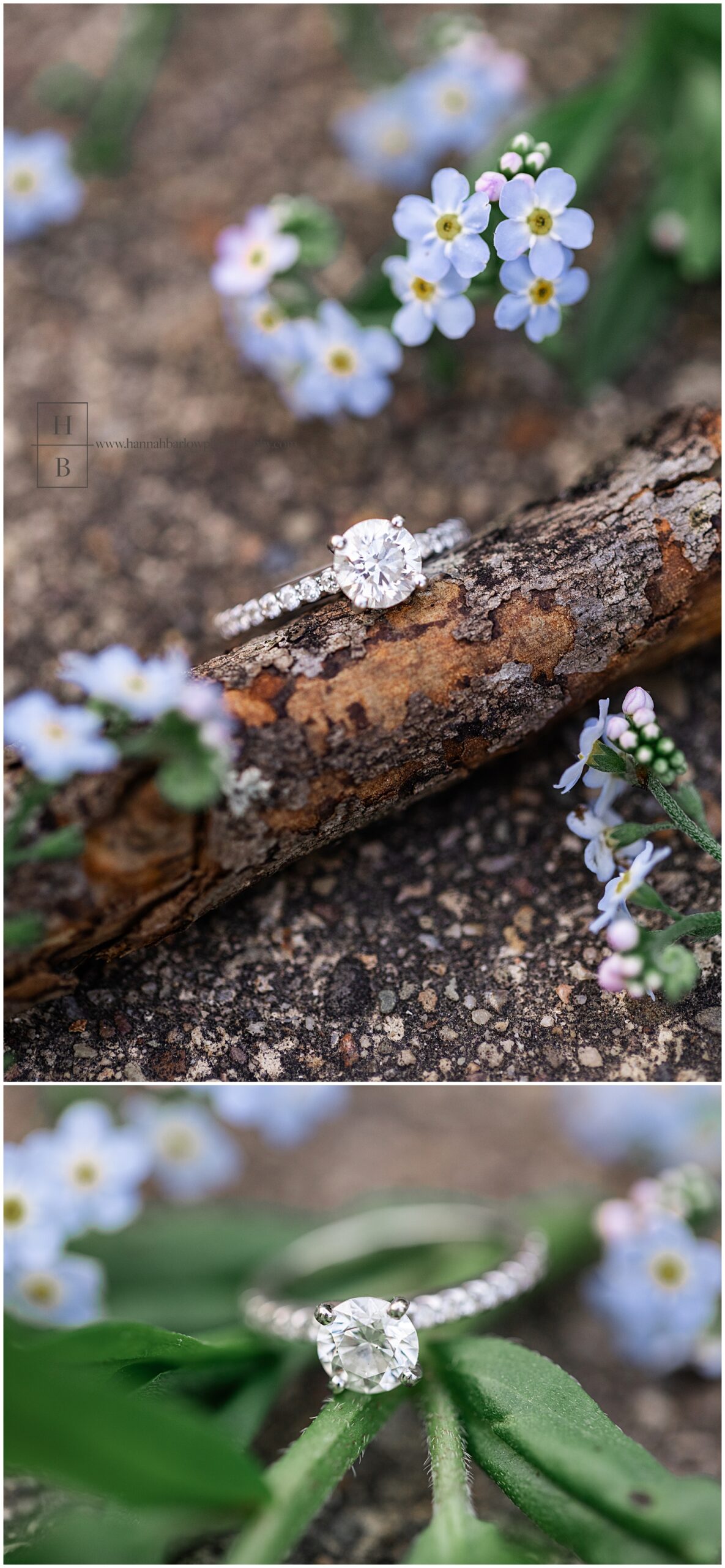 Engagement ring is highlighted surrounded by blue wild flowers