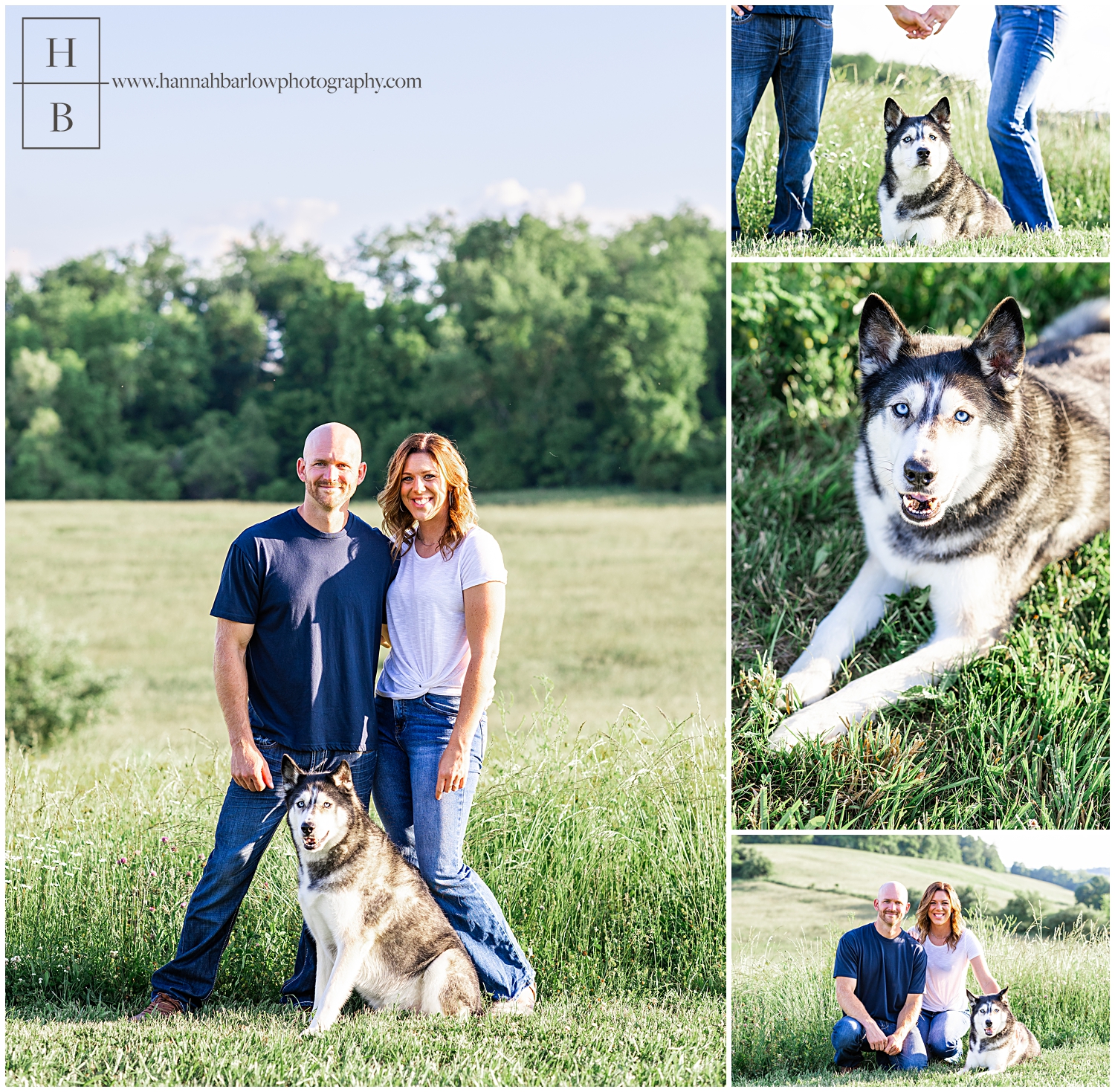 Couple poses in field with husky for engagement photos