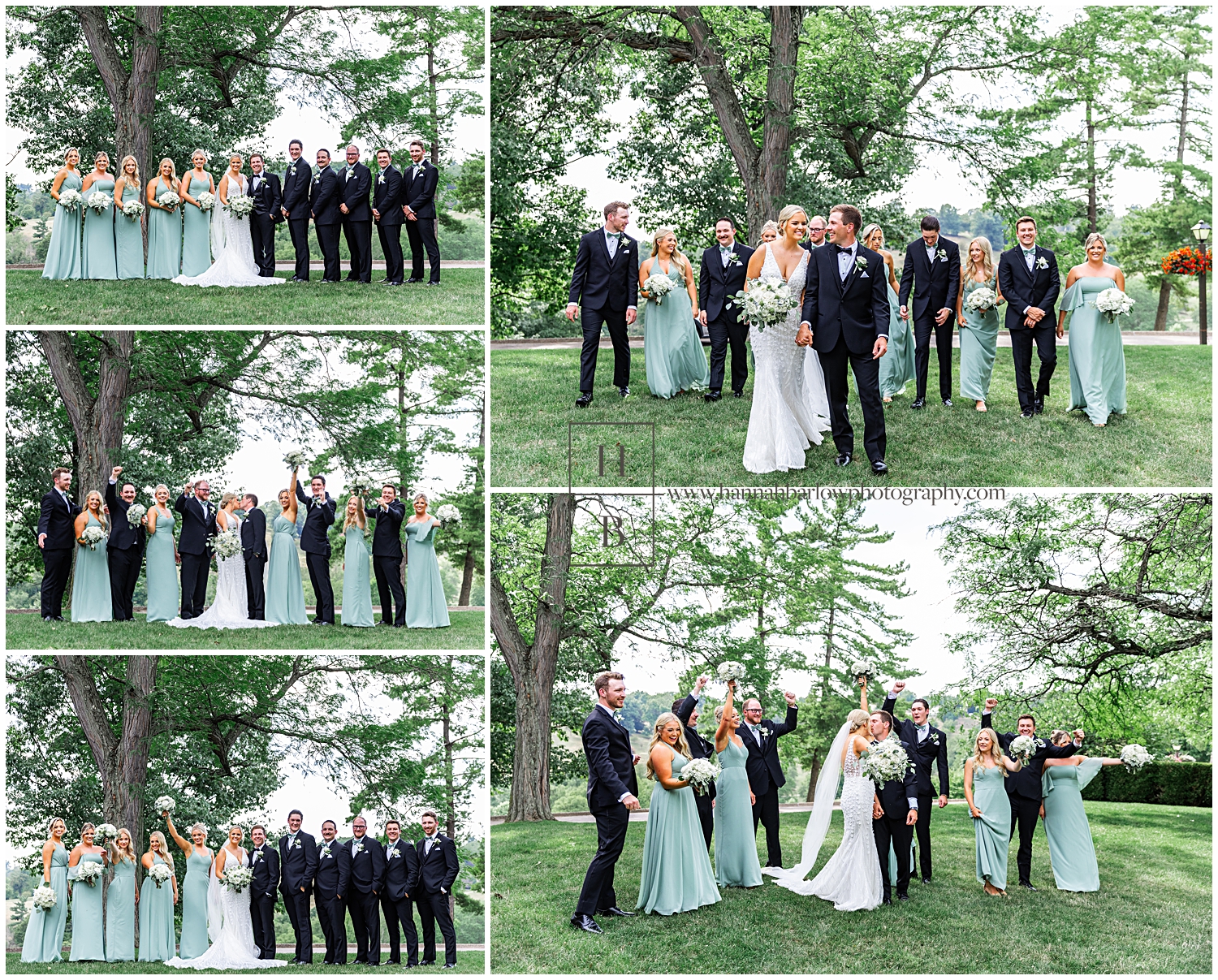 Bridal party in black tux and sage green dresses pose with couple