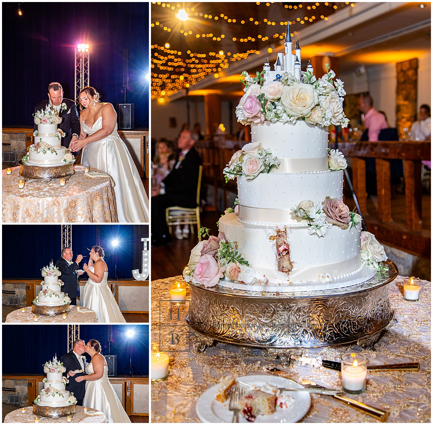 Couple cuts wedding cake