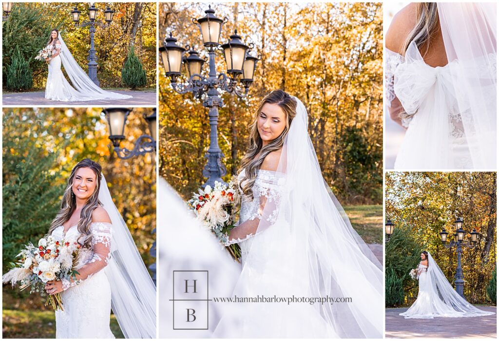 Bridal Portraits