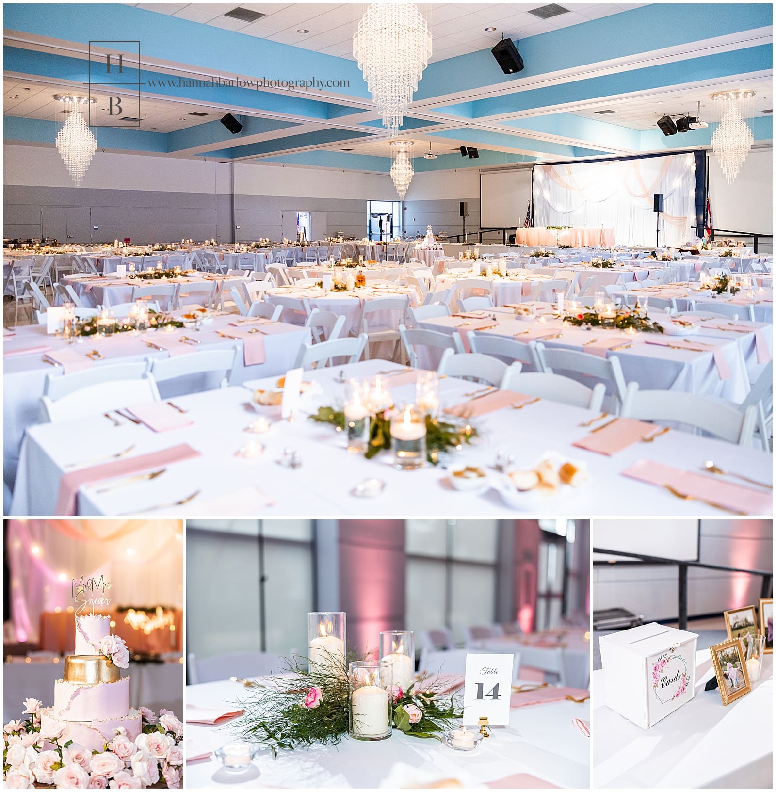 Belmont College wedding reception details in Belmont County Ohio