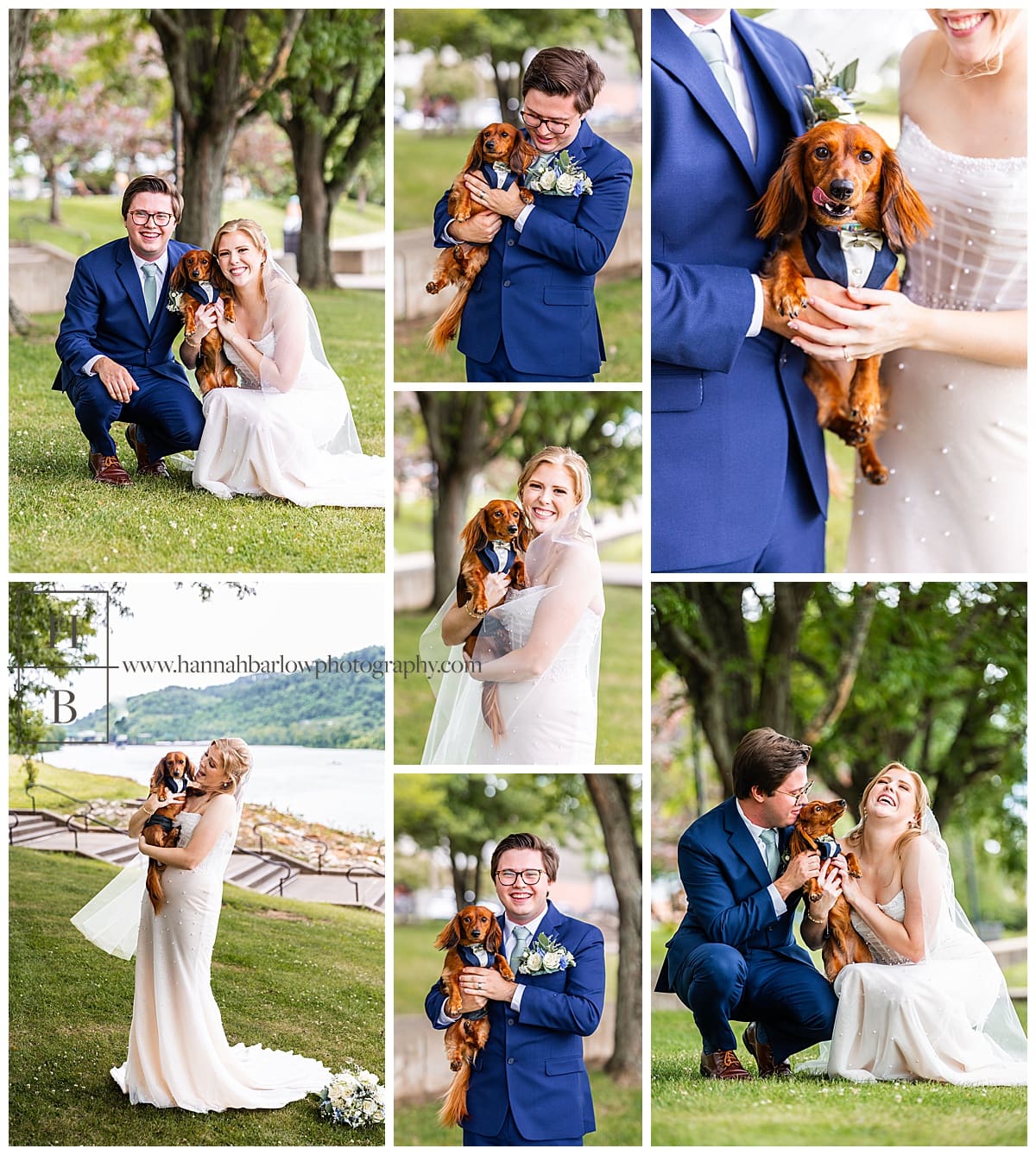 bride and groom pose with their dog